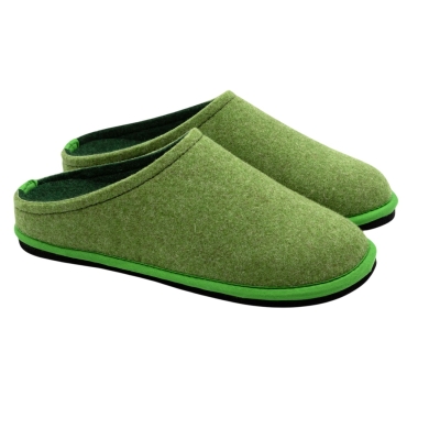 Lion White House Slippers Felt Slippers Easy Bicolor Green